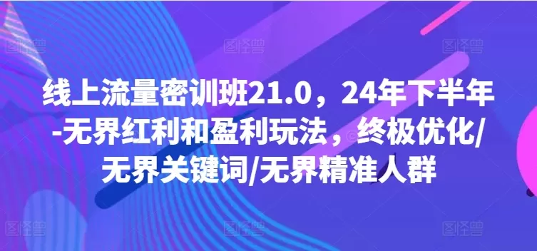 线上流量密训班21.0，24年下半年-无界红利和盈利玩法，终极优化/无界关键词/无界精准人群 - 淘客掘金网-淘客掘金网