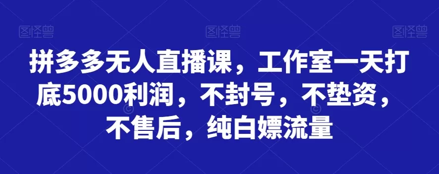 拼多多无人直播课，工作室一天打底5000利润，不封号，不垫资，不售后，纯白嫖流量 - 淘客掘金网-淘客掘金网