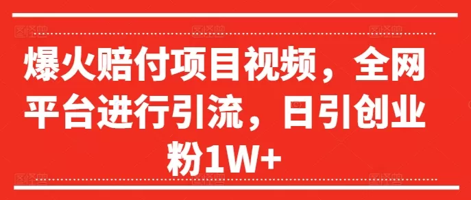 爆火赔付项目视频，全网平台进行引流，日引创业粉1W+ - 淘客掘金网-淘客掘金网