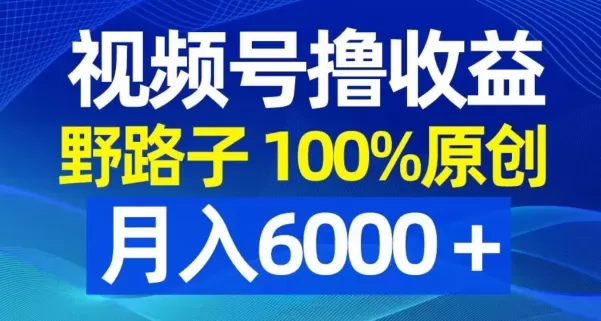 视频号野路子撸收益，100%原创，条条爆款，月入6000＋ - 淘客掘金网-淘客掘金网