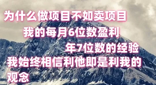 做项目不如卖项目，每月6位数盈利，年7位数经验 - 淘客掘金网-淘客掘金网