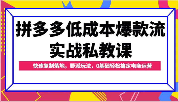 拼多多低成本爆款流实战私教课，快速复制落地，野派玩法，0基础轻松搞定电商运营 - 淘客掘金网-淘客掘金网