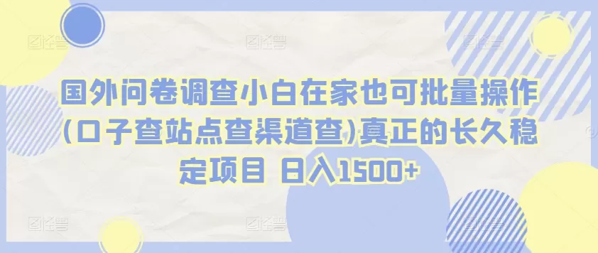 国外问卷调查小白在家也可批量操作(口子查站点查渠道查)真正的长久稳定项目 日入1500+ - 淘客掘金网-淘客掘金网