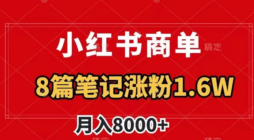 小红书商单最新玩法，8篇笔记涨粉1.6w，作品制作简单，月入8000+【揭秘】 - 淘客掘金网-淘客掘金网