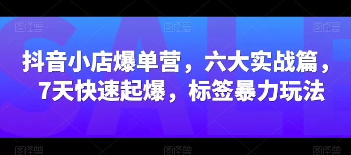 抖音小店爆单营，六大实战篇，7天快速起爆，标签暴力玩法 - 淘客掘金网-淘客掘金网