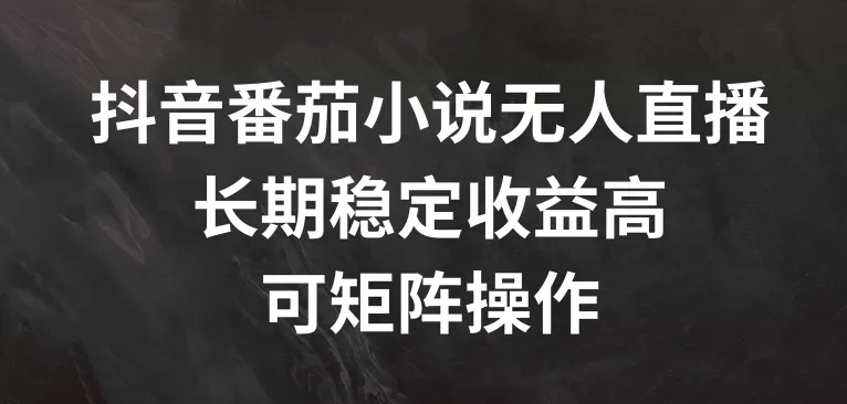 抖音番茄小说无人直播，长期稳定收益高，可矩阵操作 - 淘客掘金网-淘客掘金网