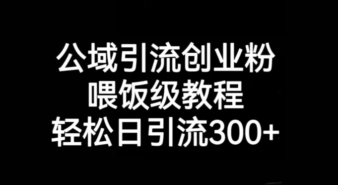 公域引流创业粉，喂饭级教程，轻松日引流300+【揭秘】 - 淘客掘金网-淘客掘金网