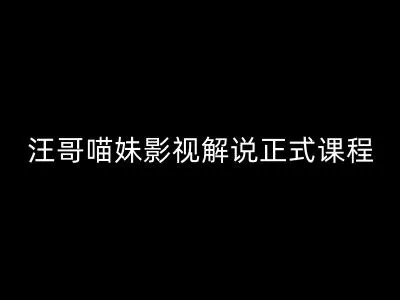 汪哥影视解说正式课程：剪映/PR教学/视解说剪辑5大黄金法则/全流程剪辑7把利器等等 - 淘客掘金网-淘客掘金网