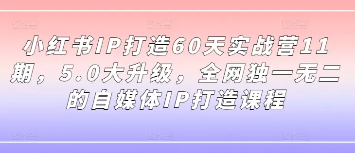 小红书IP打造60天实战营11期，5.0大升级，全网独一无二的自媒体IP打造课程 - 淘客掘金网-淘客掘金网