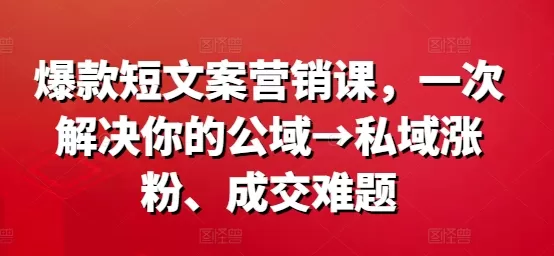 爆款短文案营销课，一次解决你的公域→私域涨粉、成交难题 - 淘客掘金网-淘客掘金网