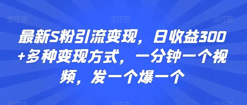 最新S粉引流变现，日收益300+多种变现方式，一分钟一个视频，发一个爆一个 - 淘客掘金网-淘客掘金网