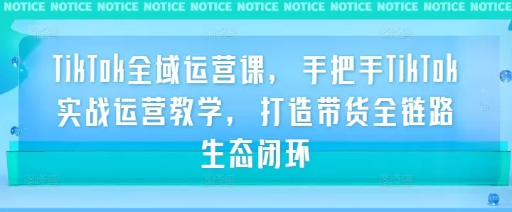 TikTok全域运营课，手把手TikTok实战运营教学，打造带货全链路生态闭环 - 淘客掘金网-淘客掘金网