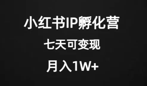 价值2000+的小红书IP孵化营项目，超级大蓝海，七天即可开始变现，稳定月入1W+ - 淘客掘金网-淘客掘金网