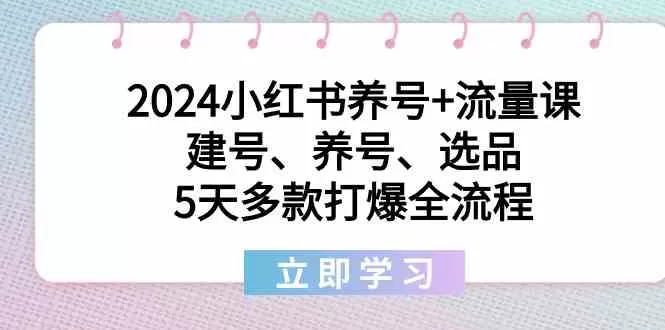 2024小红书养号+流量课：建号、养号、选品，5天多款打爆全流程 - 淘客掘金网-淘客掘金网