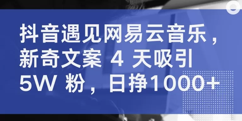 抖音遇见网易云音乐，新奇文案 4 天吸引 5W 粉，日挣1000+ - 淘客掘金网-淘客掘金网