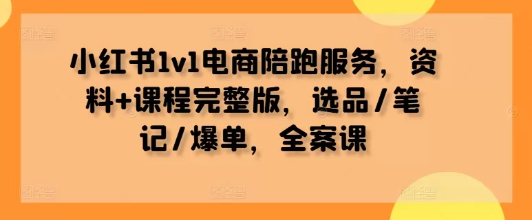 小红书1v1电商陪跑服务，资料+课程完整版，选品/笔记/爆单，全案课 - 淘客掘金网-淘客掘金网