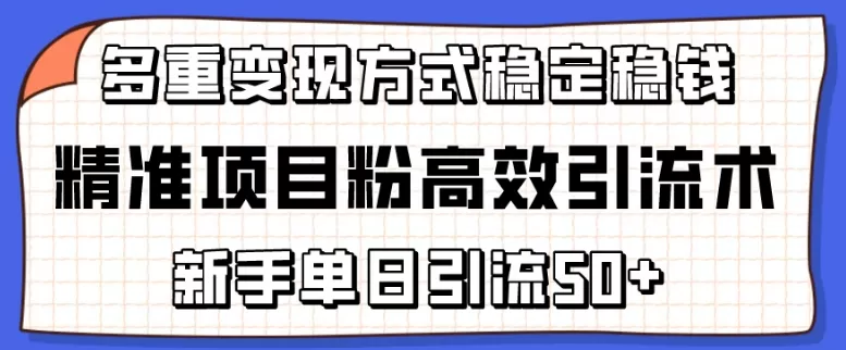 精准项目粉高效引流术，新手单日引流50+，多重变现方式稳定赚钱 - 淘客掘金网-淘客掘金网