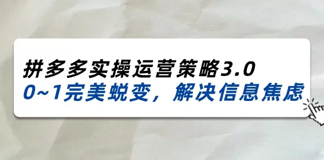 2024-2025拼多多实操运营策略3.0，0~1完美蜕变，解决信息焦虑（38节） - 淘客掘金网-淘客掘金网