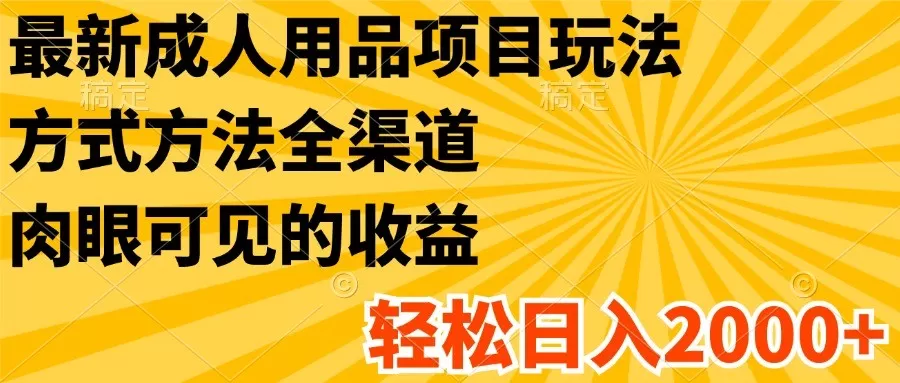 最新成人用品项目玩法，方式方法全渠道，肉眼可见的收益，轻松日入2000+ - 淘客掘金网-淘客掘金网