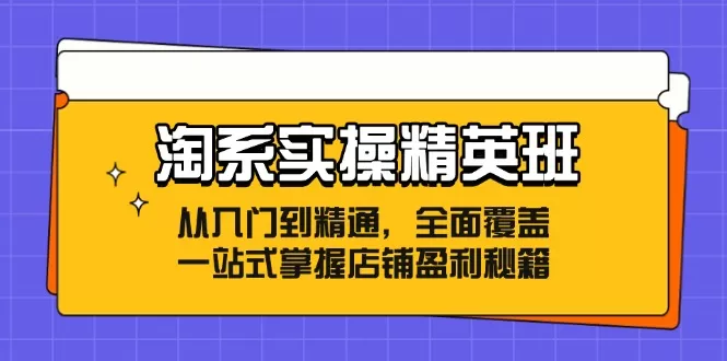 淘系实操精英班：从入门到精通，全面覆盖，一站式掌握店铺盈利秘籍 - 淘客掘金网-淘客掘金网