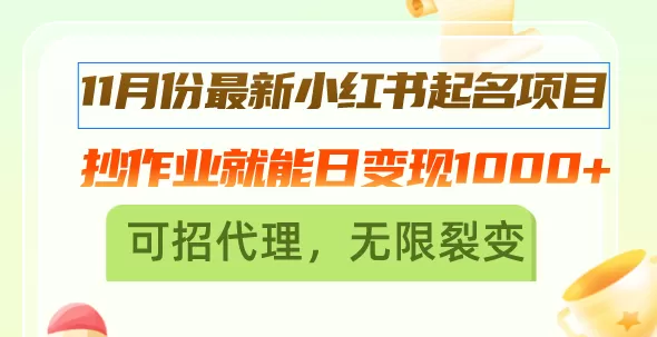 （13256期）11月份最新小红书起名项目，抄作业就能日变现1000+，可招代理，无限裂变 - 淘客掘金网-淘客掘金网