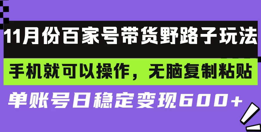 （13281期）百家号带货野路子玩法 手机就可以操作，无脑复制粘贴 单账号日稳定变现… - 淘客掘金网-淘客掘金网