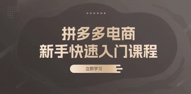 （13289期）拼多多电商新手快速入门课程：涵盖基础、实战与选款，助力小白轻松上手 - 淘客掘金网-淘客掘金网