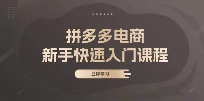 拼多多电商新手快速入门课程：涵盖基础、实战与选款，助力小白轻松上手 - 淘客掘金网-淘客掘金网