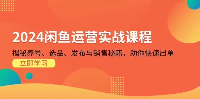 （13290期）2024闲鱼运营实战课程：揭秘养号、选品、发布与销售秘籍，助你快速出单 - 淘客掘金网-淘客掘金网