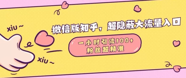 微信版知乎，超隐蔽流量入口1小时引流100人，粉丝质量超高【揭秘】 - 淘客掘金网-淘客掘金网