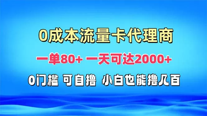 （13391期）免费流量卡代理一单80+ 一天可达2000+ - 淘客掘金网-淘客掘金网