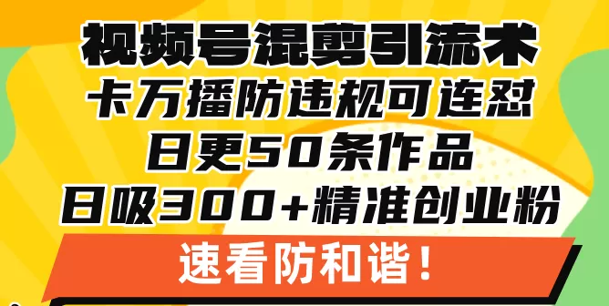 （13400期）视频号混剪引流技术，500万播放引流17000创业粉，操作简单当天学会 - 淘客掘金网-淘客掘金网