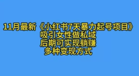 K总部落11月最新小红书7天暴力起号项目，吸引女性做私域【揭秘】 - 淘客掘金网-淘客掘金网