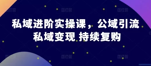 私域进阶实操课，公域引流 私域变现 持续复购 - 淘客掘金网-淘客掘金网