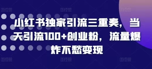 小红书独家引流三重奏，当天引流100+创业粉，流量爆炸不愁变现【揭秘】 - 淘客掘金网-淘客掘金网