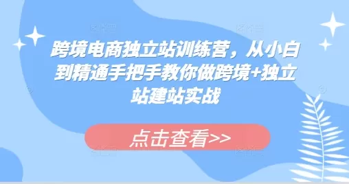 跨境电商独立站训练营，从小白到精通手把手教你做跨境+独立站建站实战 - 淘客掘金网-淘客掘金网