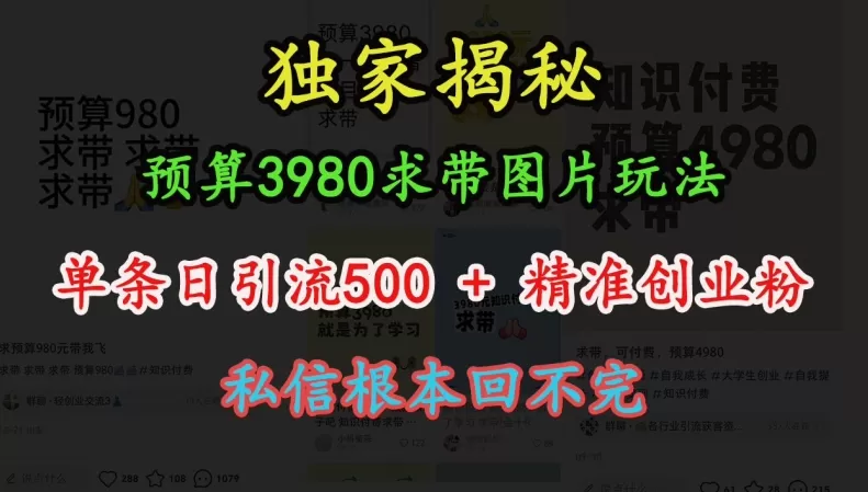 预算3980求带 图片玩法，单条日引流500+精准创业粉，私信根本回不完 - 淘客掘金网-淘客掘金网