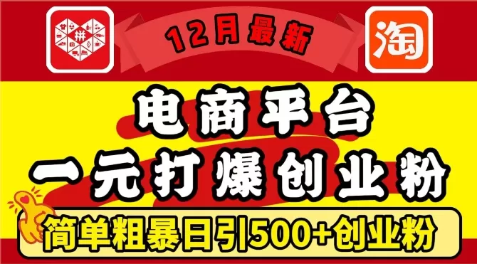 12月最新：电商平台1元打爆创业粉，简单粗暴日引500+精准创业粉，轻松月入过W【揭秘】 - 淘客掘金网-淘客掘金网